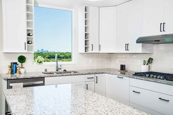 Granite countertops
