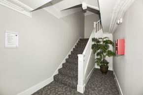San Francisco apartment for rent - A staircase with a potted plant on the bottom step.