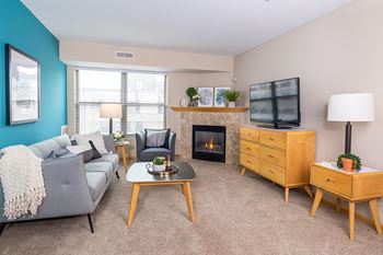 Gas fireplace