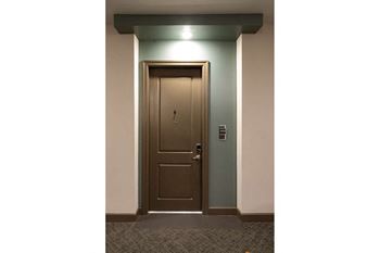Electronic front door locks