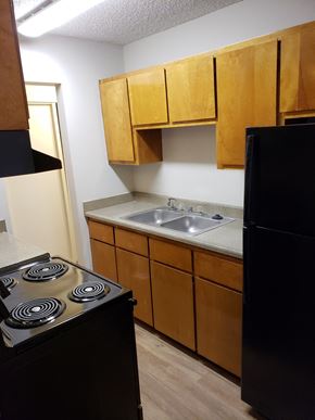 Colorado Springs apartment for rent - an empty kitchen with a stove and a sink