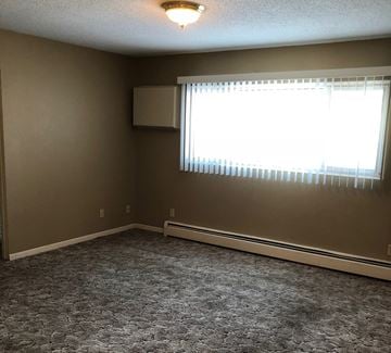 Alexandria apartment for rent - a living room with a window and a carpeted floor