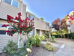 Santa Rosa apartment for rent - Exterior of Units with ornamental trees and shrubs at Stony Creek Apartments, Santa Rosa, CA