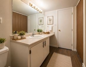 Tampa apartment for rent - Marquis Rental Apartments