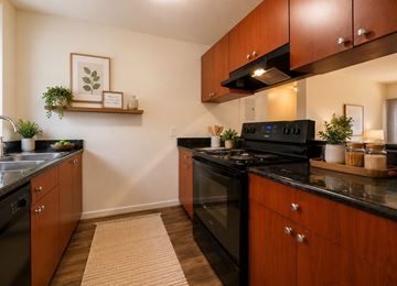 Tampa apartment for rent - A modern kitchen with dark wood cabinets and black appliances.
