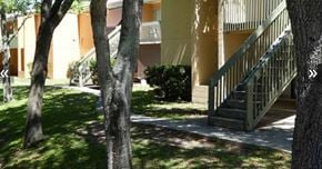 Tampa apartment for rent - A tree is in front of a building with a staircase.