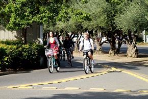 Davis apartment for rent - Students biking on the bike path to the UC Davis Campus from The Atriums