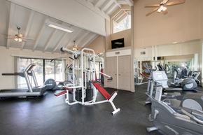 Davis apartment for rent - Fitness equipment in the gym at Cranbrook.