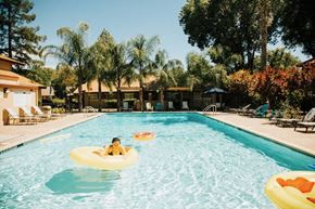 Davis apartment for rent - A resident swims in the pool at Cranbrook.