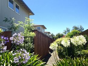 Woodland apartment for rent - a backyard with flowers and a fence