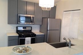 Crystal Lake apartment for rent - a kitchen with stainless steel appliances and a bowl of rocks