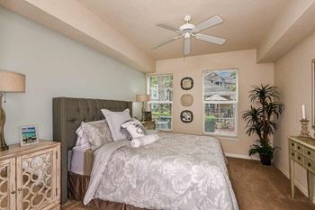 Accent walls available