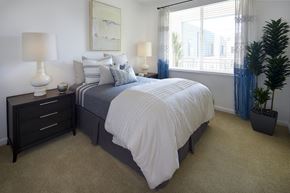San Jose apartment for rent - Bedroom with large window