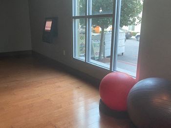 Zen yoga studio
