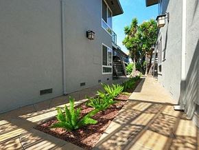 San Jose apartment for rent - a garden of plants in front of a building