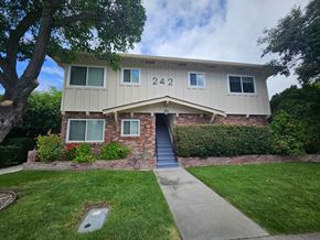 Palo Alto apartment for rent - A house numbered 242 with a blue door and a small front yard.