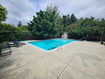 Palo Alto apartment for rent - A pool surrounded by trees and a chair.