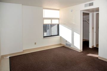 Minneapolis apartment for rent - a living room with a carpet and a window