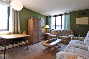 Minneapolis apartment for rent - a living room with couches and a table
