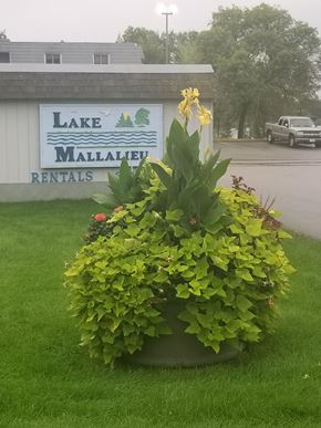 Hudson apartment for rent - a plant in front of the lake rentals sign
