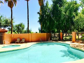 Chandler apartment for rent - A pool surrounded by trees and a wall.