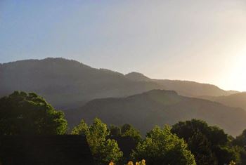 A landscape with a mountain in the background and trees in the foreground.