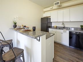 Portland apartment for rent - a kitchen with a granite counter top and a black refrigerator
