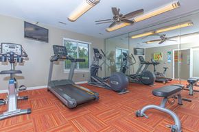 Farmington Hills apartment for rent - a gym with cardio equipment and mirrors on the wall