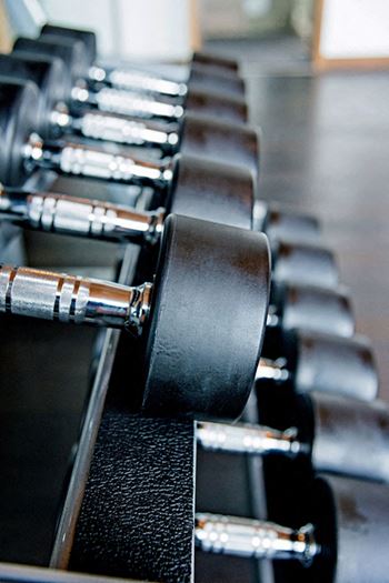 Free weights in gym
