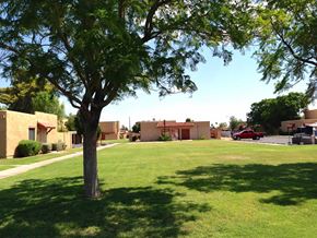 Mesa apartment for rent - A tree in a grassy area in front of a building.