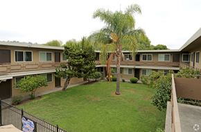 Hayward apartment for rent - A palm tree stands in the middle of a grassy courtyard.