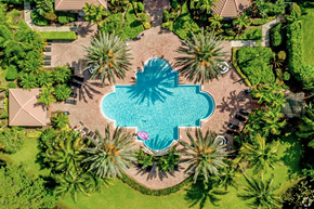 Jensen Beach apartment for rent - A large blue pool surrounded by palm trees.