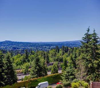 View from top