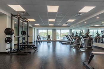 Free weights