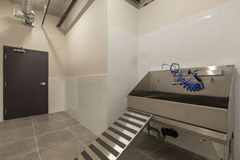Dog wash station