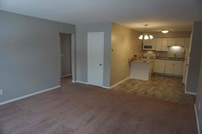 St. Louis Park apartment for rent - an empty living room with a kitchen in the background