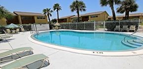 Tarpon Springs apartment for rent - A pool surrounded by palm trees and lounge chairs.