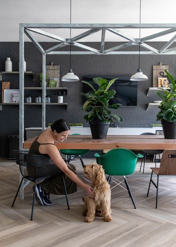 Pet-friendly community