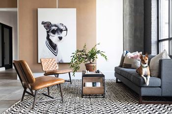 Pet-friendly community