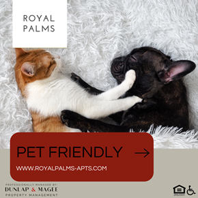 Scottsdale apartment for rent - A cat and a dog are lying on a white fluffy surface.