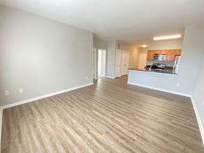 Milford apartment for rent - Living room flooring.
