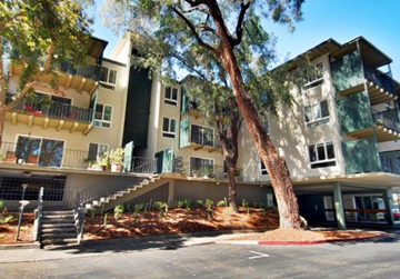 San Mateo apartment for rent - A tree in front of a building with a balcony.