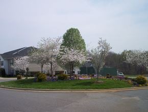 Statesville apartment for rent - a roundabout with trees and flowers in front of a house