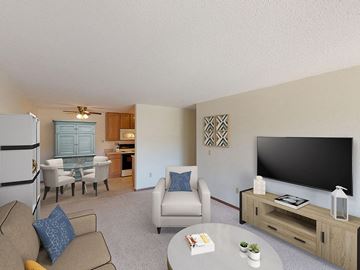 Rapid City apartment for rent - a living room with a couch and a chair and a television