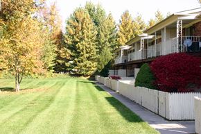 Indianapolis apartment for rent - a yard in front of a house with a lawn and trees