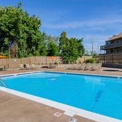 Warwick apartment for rent - a swimming pool with blue water in a yard