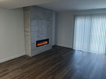 Fireplace area