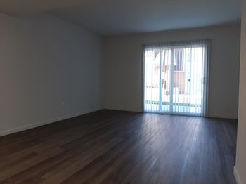 Wood floor living room