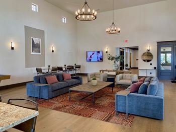 Community lounge with vaulted ceilings and modern furniture