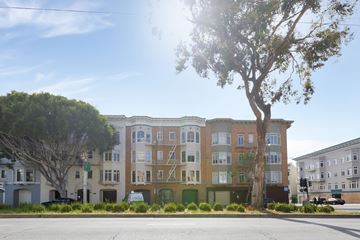 San Francisco apartment for rent - A tree stands in front of a row of apartment buildings.